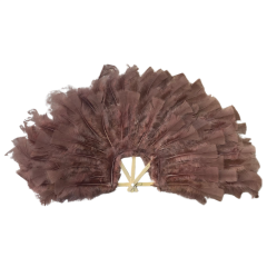 Kahverengi Tüylü Yelpaze