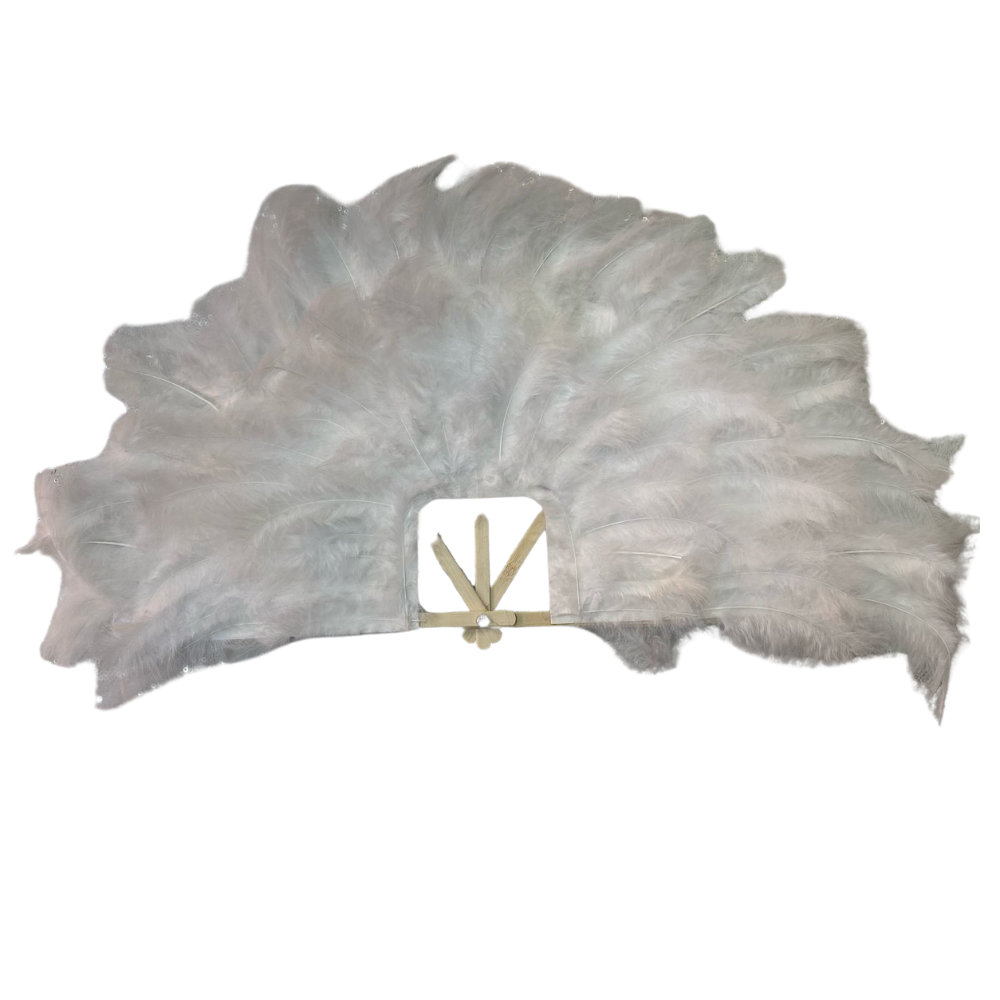 Beyaz Tüylü Yelpaze