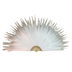 Organizasyon Yelpazesi - Büyük Boy